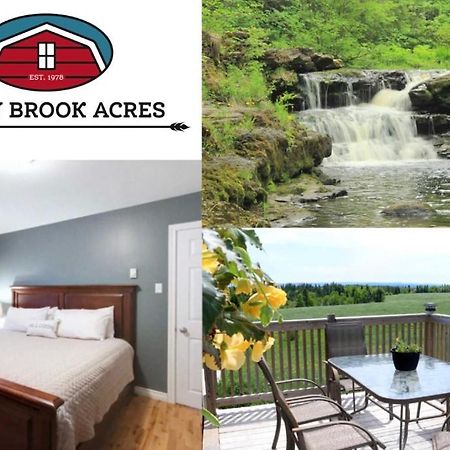 Hotel Rocky Brook Acres Cormack Exterior foto
