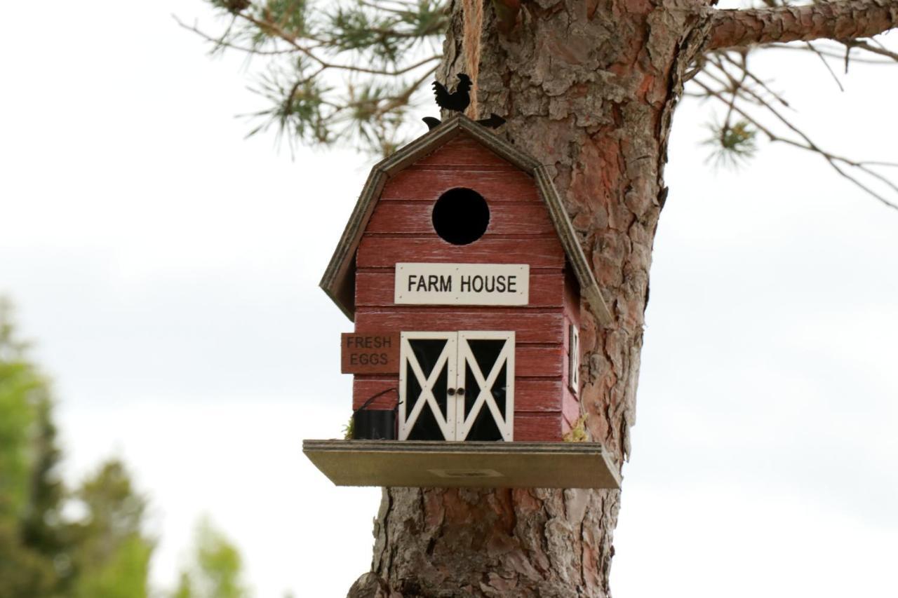 Hotel Rocky Brook Acres Cormack Exterior foto